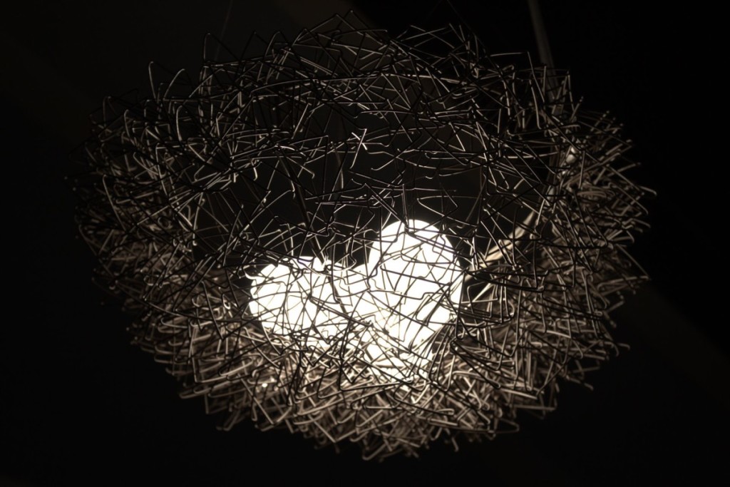 The Nest light