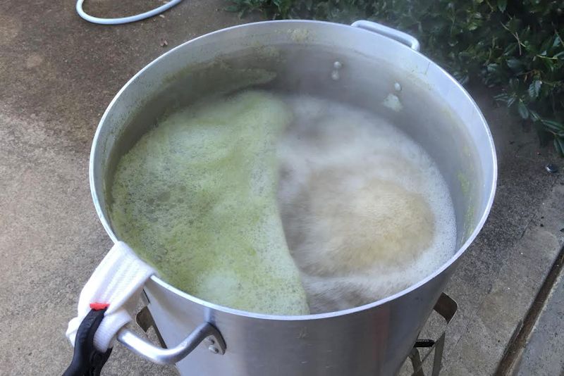 learn to homebrew beer