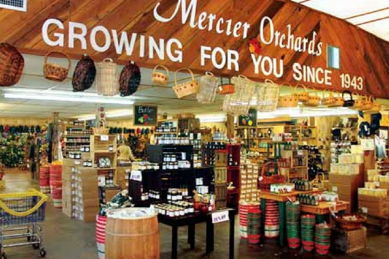 Mercier Orchards is a popular tourist destination for folks heading to North Georgia. (Photo courtesy Mercier Orchards)